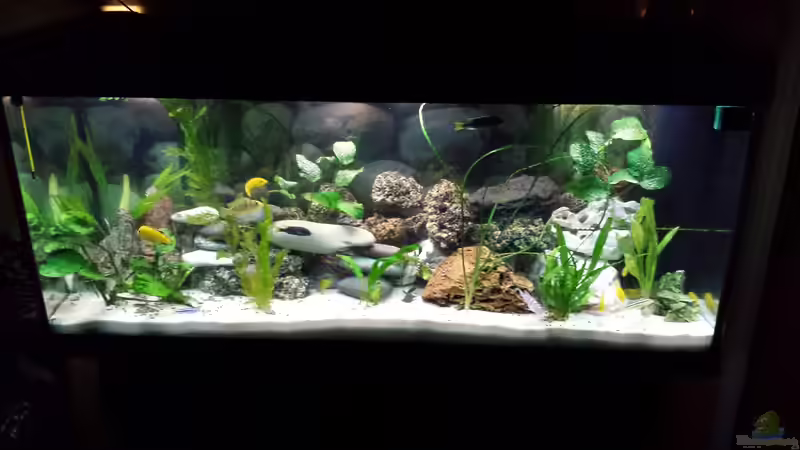 18.01.2014 von benjamin (3)