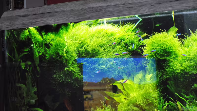 18.01.2016 von signo (17)