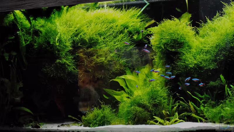 18.01.2016 von signo (18)