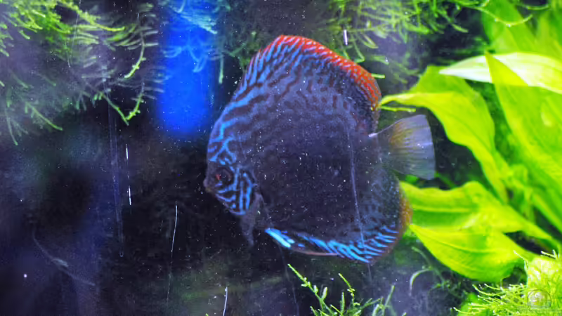 18.01.2016 von signo (19)