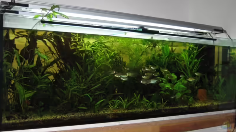 18.02.2008 von Martin Slo. (5)