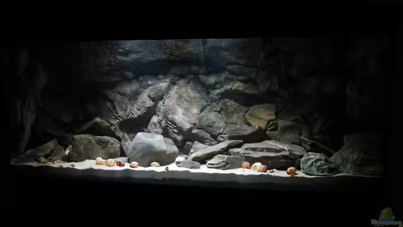 18.02.2013 von Koehler (6)