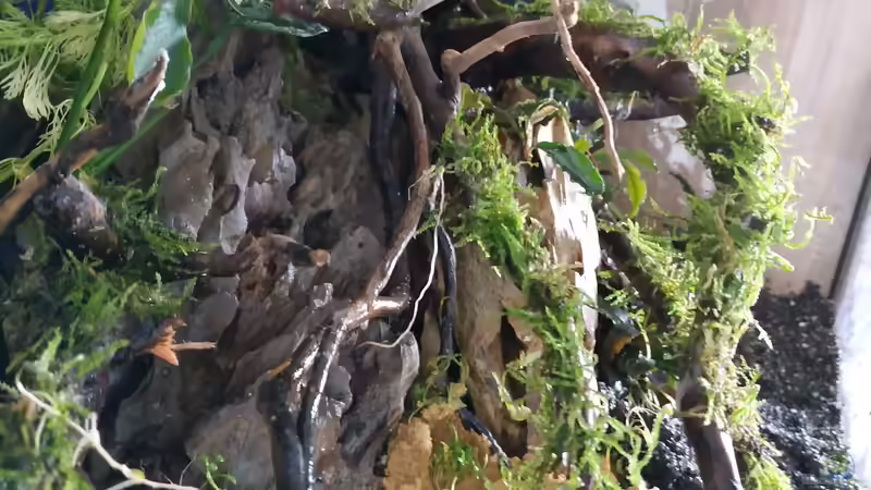 18.03. neu eingerichtet - Innenansicht von Wall-E (6)