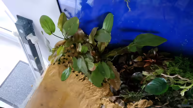 18.03. neu eingerichtet - linke ecke von Wall-E (7)