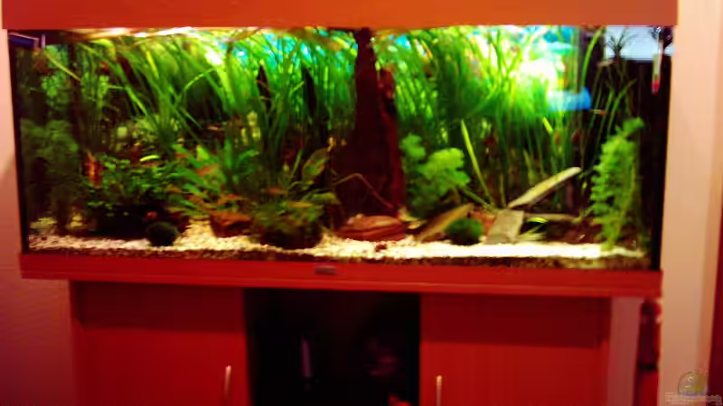 18.03.07 von Dennes Schwemer (1)