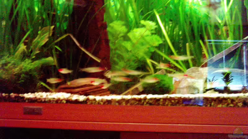 18.03.07 von Dennes Schwemer (10)