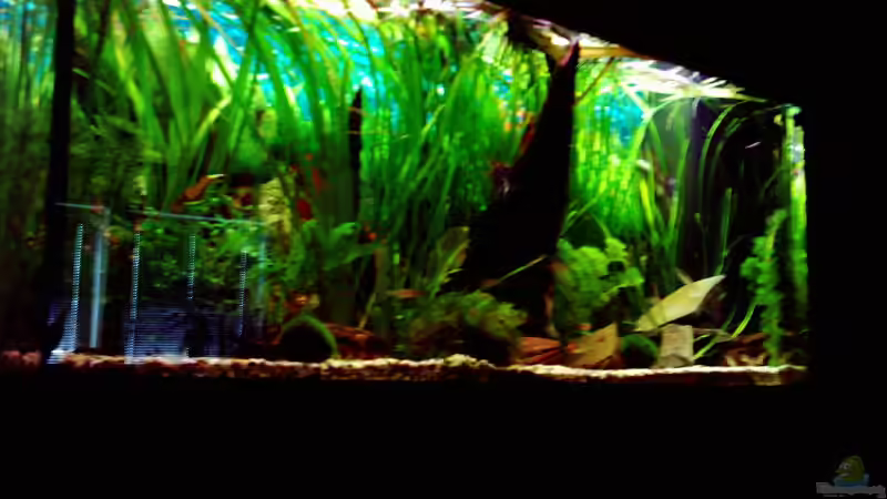 18.03.07 von Dennes Schwemer (9)