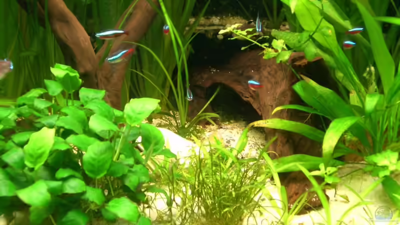 18.03.11 mitte von M to the ilan (4)