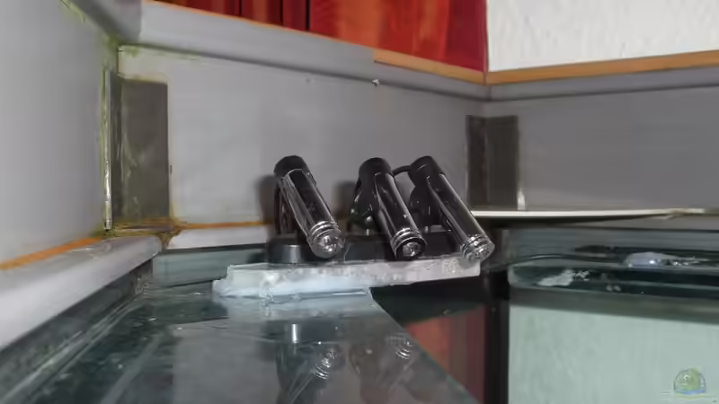 18.03.11 Mondlichtspot von M to the ilan (31)