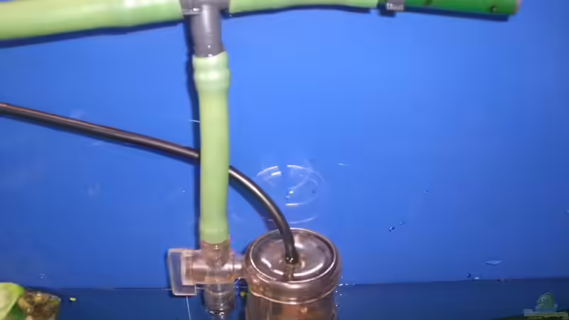 18.03.11 Zulauf und CO2 - Zerstäuber wärend des TWW von M to the ilan (33)