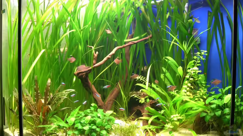 18.03.11Gesamtansicht  von M to the ilan (3)