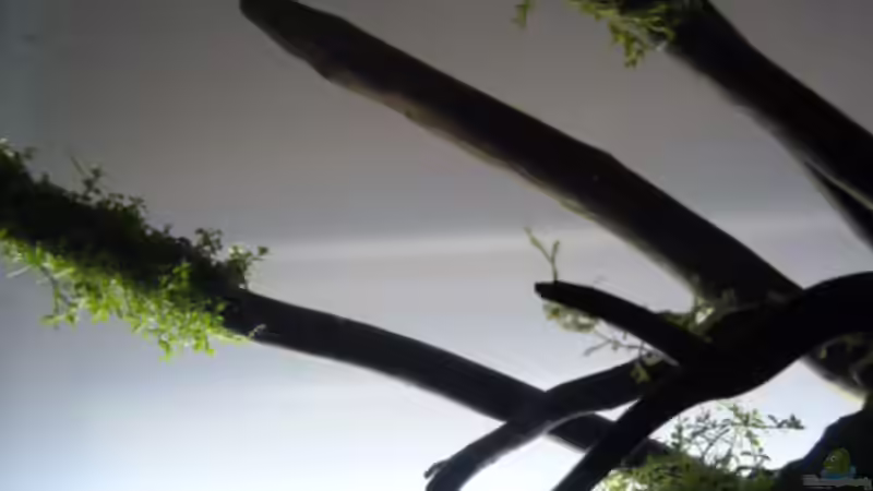 18.03.2014 von Martin W. (1)