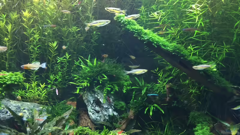 18.03.2014 von Walde (30)