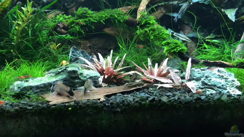 18.03.2014 von Walde (32)