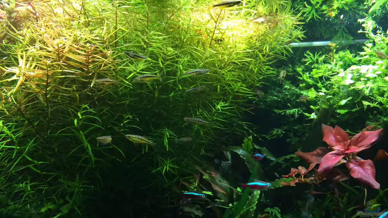 18.03.2014 von Walde (58)