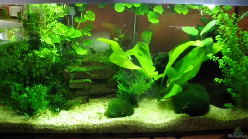 18.04.07 von Monika Maier (1)