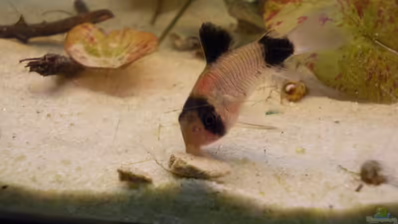 18.04.2012 von Koehler (63)