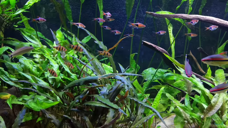 18.04.2020 von ~Marco~ (67)