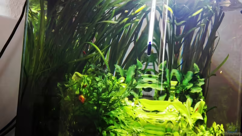 18.04.2020 von Sarah_Schneider (5)