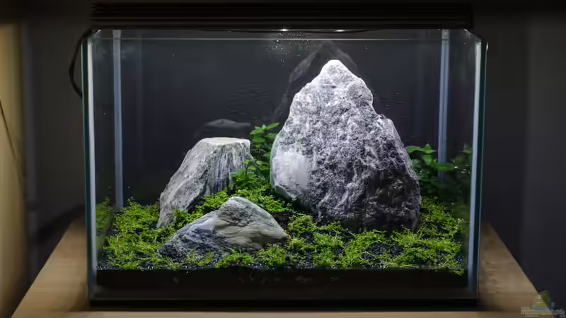 18.05.2014 - eine Woche nach dem Start von Julian H. (3)