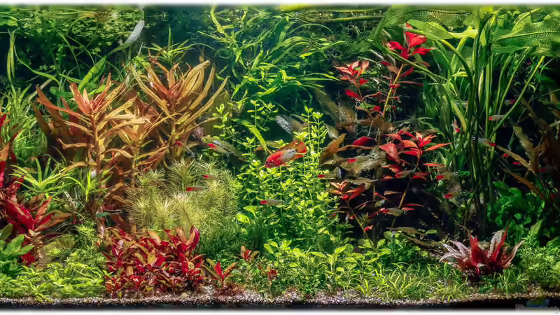 18.05.2014 von Ralf64 (4)