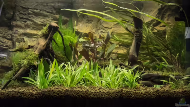 18.07.2012 von Hardflip (9)