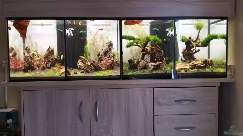 18.07.2015 von Lucky3310 (1)