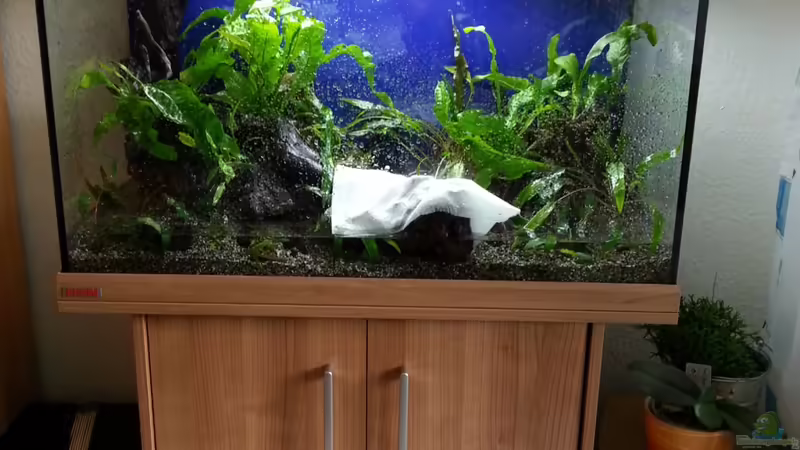 18.08.2013 von Melanie (2)