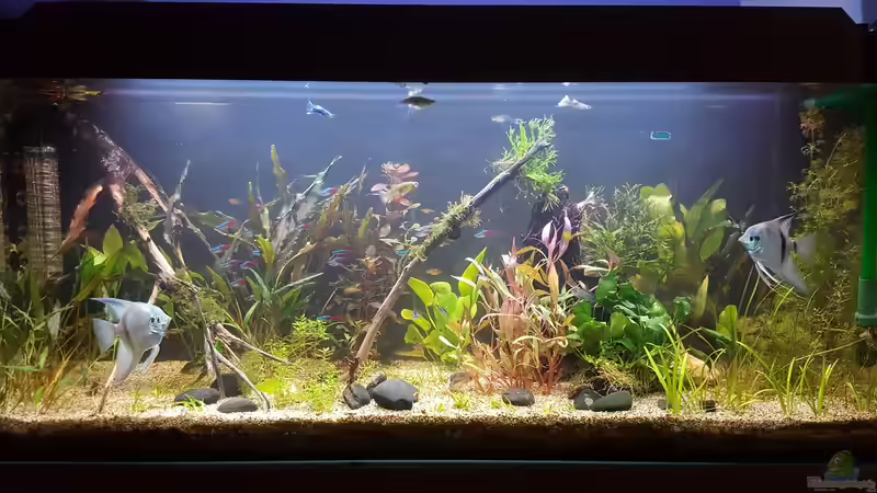 18.08.2018 von Mel (3)