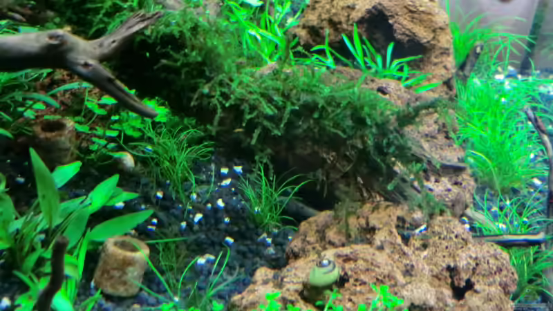 18.09.12 von Walde (56)