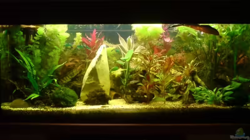 18.09.2007 von Achim Dengler (11)