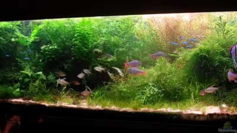 18.10.08 mit Skalaren von Daniel_ (8)