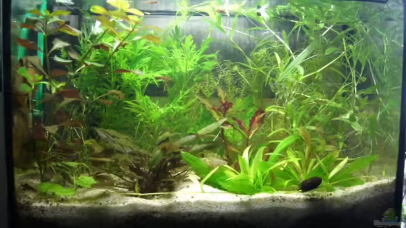 18.10.09 von Barabas (1)