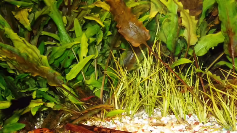 18.10.15 von Der Nicky (16)