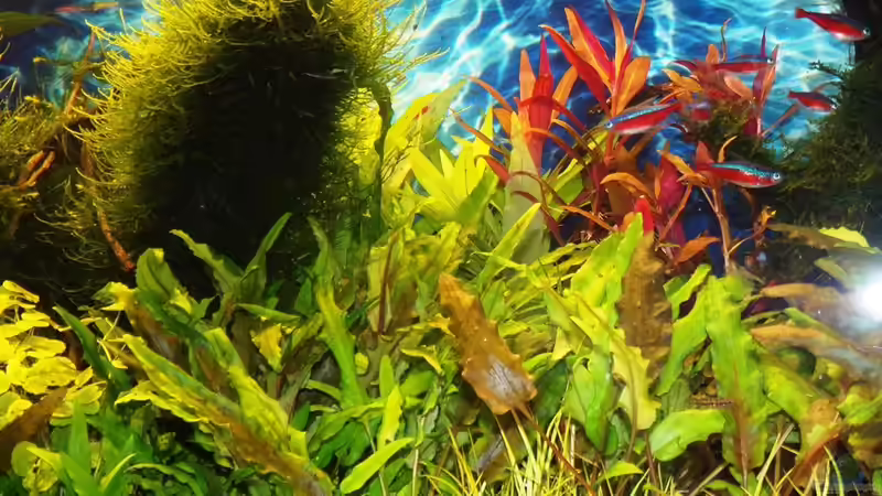 18.10.15 von Der Nicky (18)