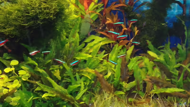 18.10.15 von Der Nicky (19)