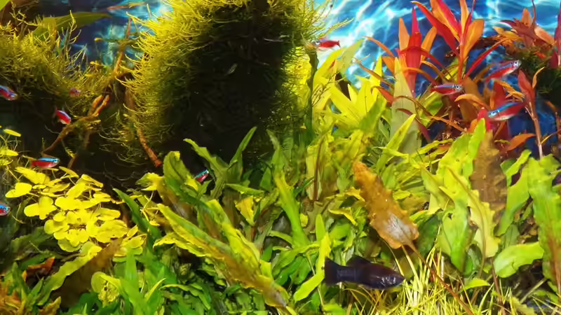 18.10.15 von Der Nicky (20)