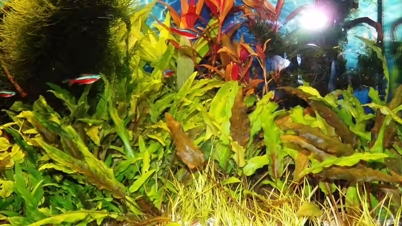 18.10.15 von Der Nicky (31)