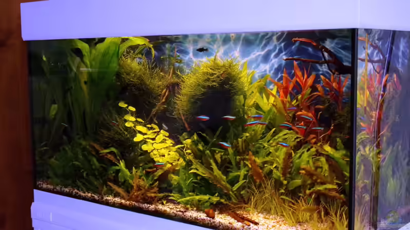 18.10.15 von Der Nicky (4)