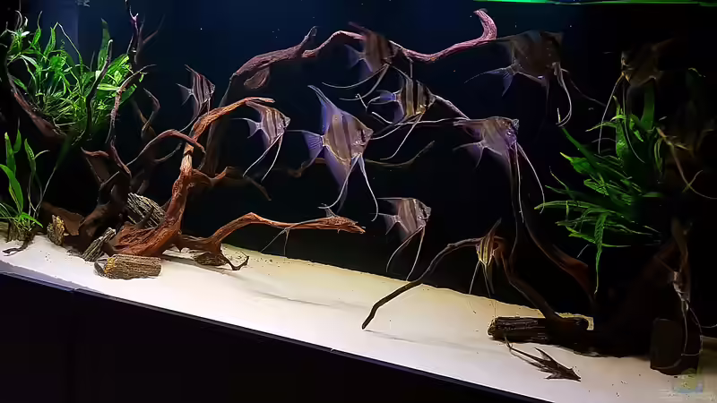 18.10.18 von Dani B (2)