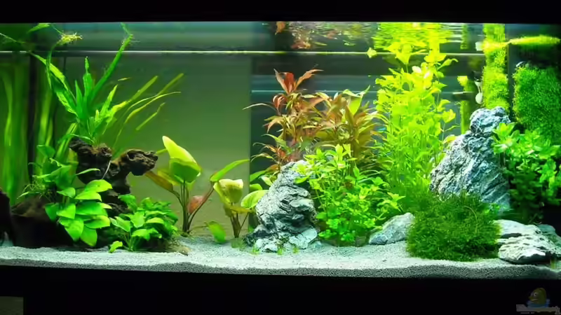 18.10.2010 von Fabian Ber (8)