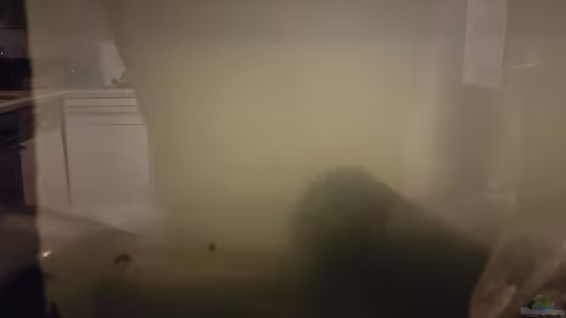 18.10.2018 von Kevin Engelsberger (6)