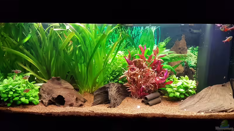 18.11.16 von Pulle (9)