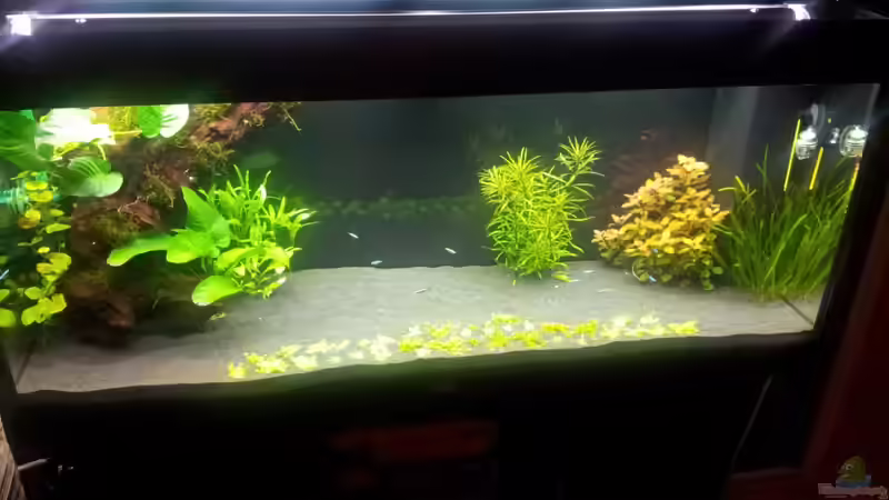 18.12.13 von Terence Hill (2)