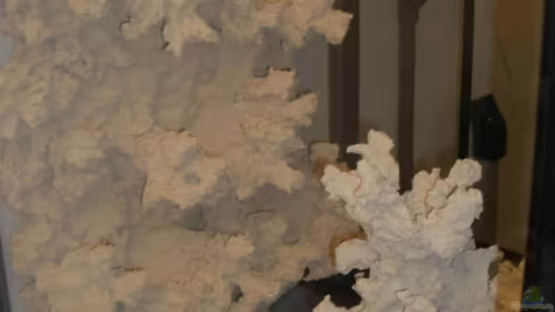 18.12.2008 von Stephan Ascher (2)