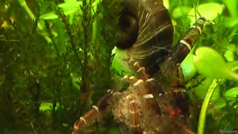 18.12.2010 von *Lucie* (46)