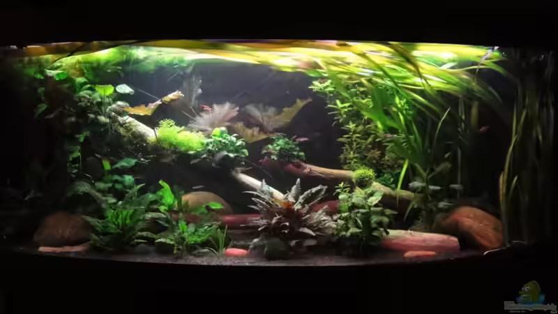 18.2.12 von Heiko Stracke (1)