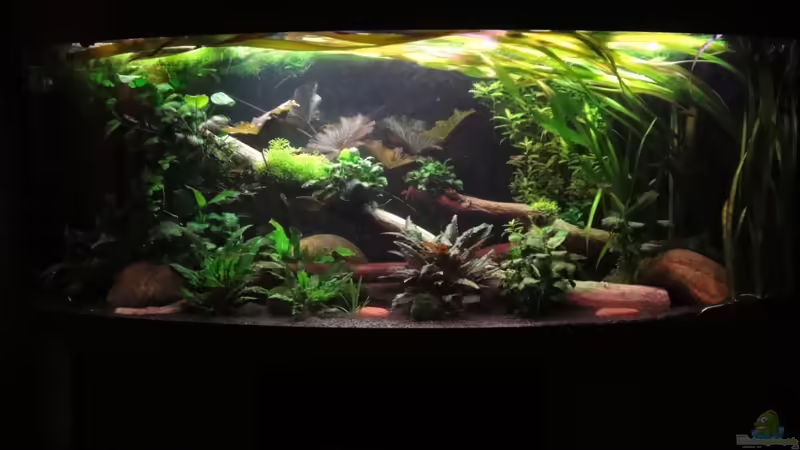 18.2.12 von Heiko Stracke (15)