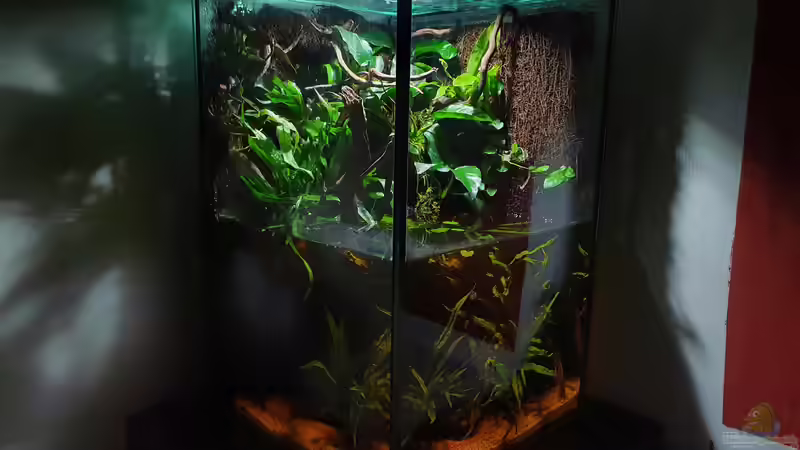 18.3.20 von Aqua fan (1)