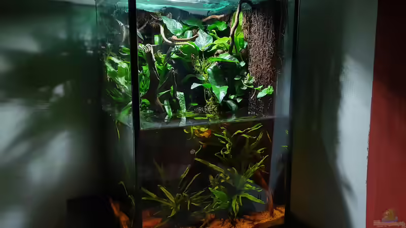 18.3.20 von Aqua fan (2)